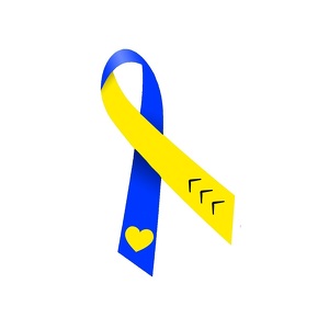 Team Page: Sharing Down Syndrome in Pierce County